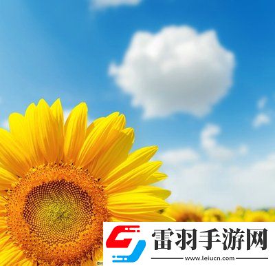 日本尺碼與亞洲尺碼區(qū)別的奧秘：服裝尺碼的文化差異，找到適合自己的完美尺寸！
