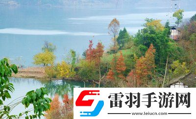 老牛影視文化傳媒有限公司官方：匠心打造精品影視，開啟文化新紀元！