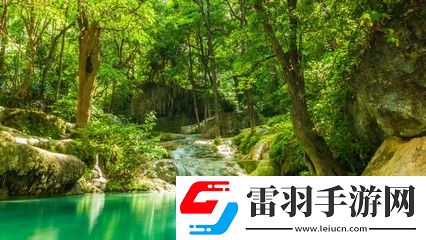 x7x7任意噪入口直達大象：探索無盡可能的數(shù)字世界，暢享驚奇與樂趣！