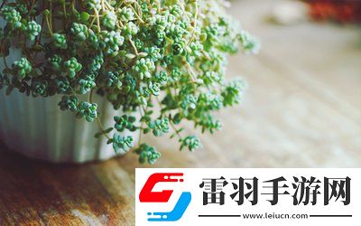 校園pop1n高中多場地文，青春無敵,網(wǎng)友：帶你走進(jìn)多場地高中的精彩紛呈！