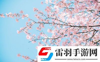 日本插槽x8是正規(guī)還是仿：設(shè)計(jì)到性能的認(rèn)識(shí)，避免踩坑你需要知道的一切！