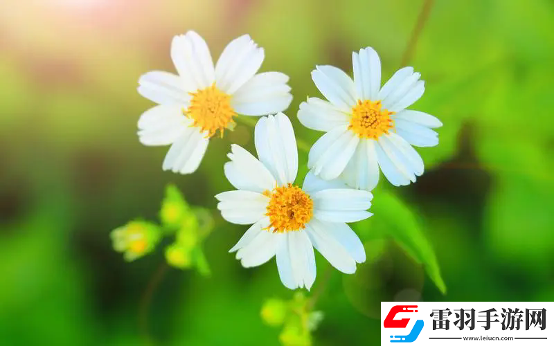 姬小滿拿槍獎勵自己核心提示，網(wǎng)友：意想不到的故事背后竟藏著深層次心理問題！