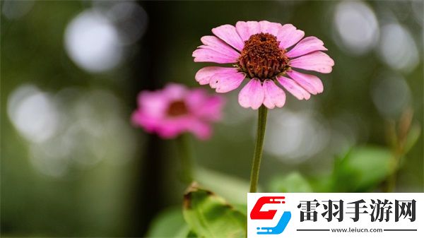 VR成品在線網(wǎng)站