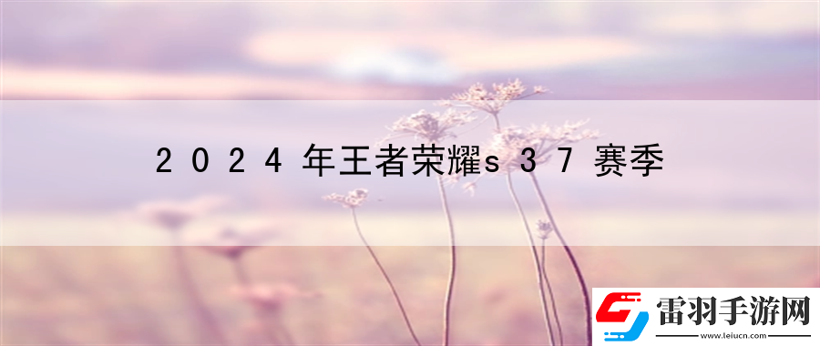 2024年王者榮耀s37賽季
