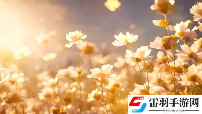 液體收集器系統(tǒng)HH的安裝指南：準(zhǔn)備到調(diào)試，一步步打造高效安全的生產(chǎn)環(huán)境！