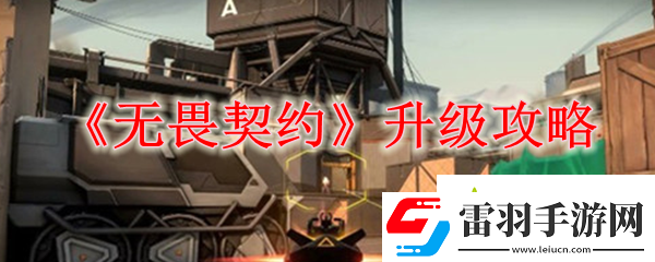 無(wú)畏契約怎么快速升級(jí)