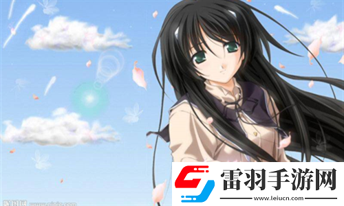一個(gè)一個(gè)輪MCNP