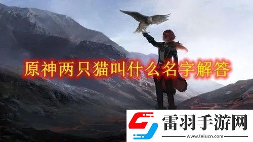 原神兩只貓叫什么名字答案怎么選
