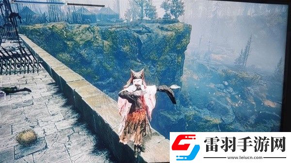 艾爾登法環(huán)黃金樹之影DLC新武器在哪