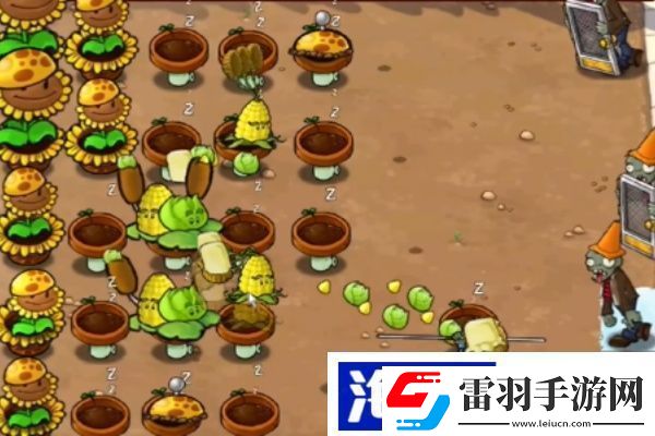植物大戰(zhàn)僵尸雜交版冒險第26關(guān)怎么過