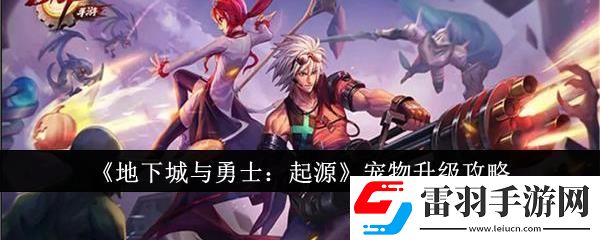 地下城與勇士起源寵物升級攻略