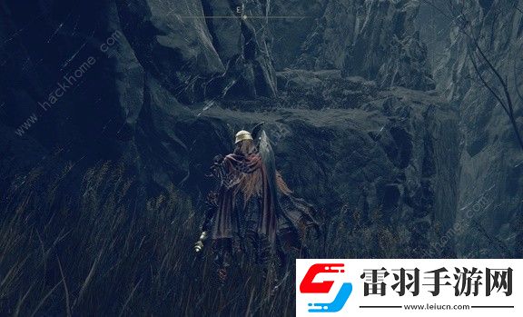 艾爾登法環(huán)DLC雙輪修行者怎么打