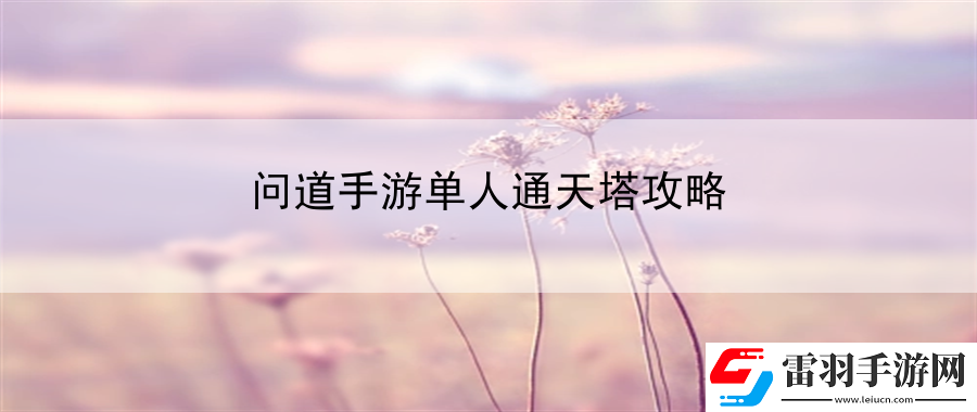 問道手游單人通天塔攻略