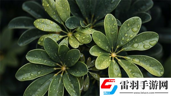 人馬大戰(zhàn)PYTHON代碼教程