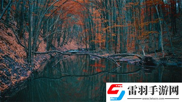 9i傳媒有限公司