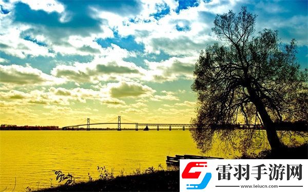 成品網(wǎng)站1688入門