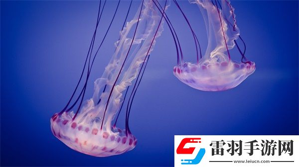 師父不可以限彌彌合歡宗