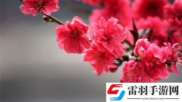 久產(chǎn)九人力資源有限公司豐沛有魚