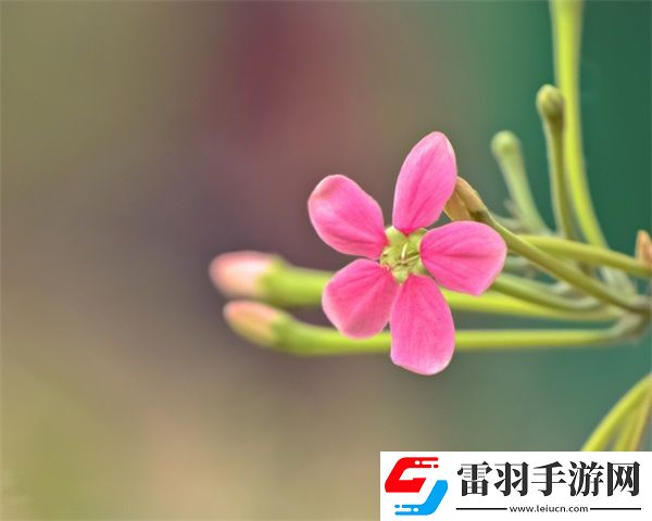 入睡指南po醫(yī)生