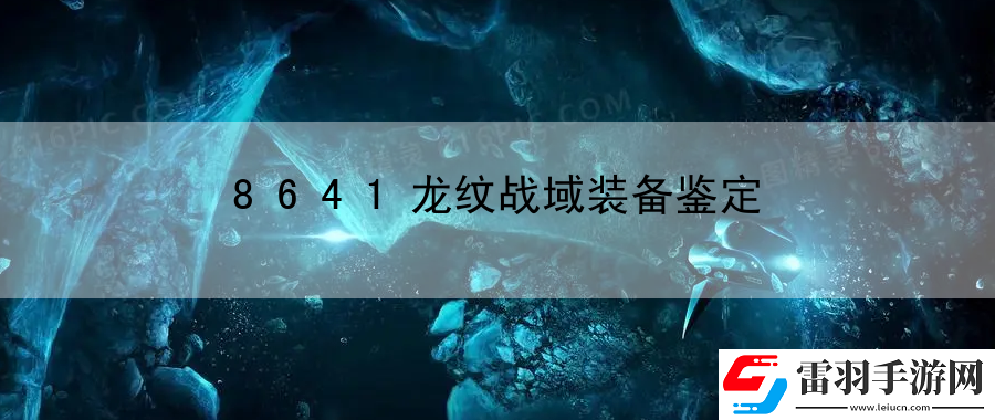8641龍紋戰(zhàn)域裝備鑒定