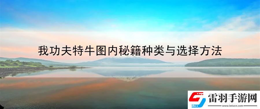 我功夫特牛圖內(nèi)秘籍種類與選擇方法