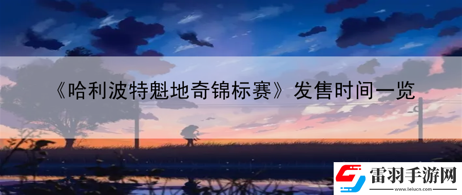 哈利波特魁地奇錦標(biāo)賽發(fā)售時(shí)間一覽