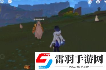 原神特殊的朋友任務(wù)怎么做