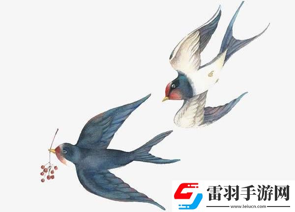 佩燕子是哪個(gè)地區(qū)人的習(xí)俗