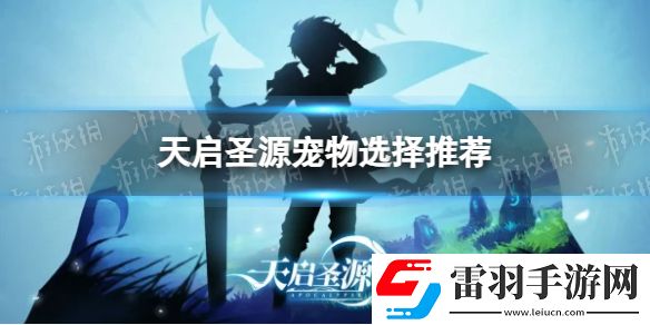 天啟圣源寵物怎么選