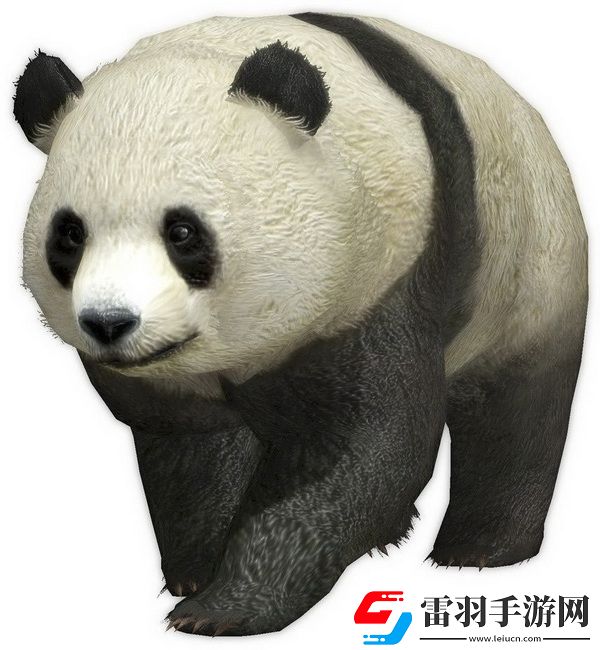 真三國無雙6今日發(fā)售游戲詳情公布
