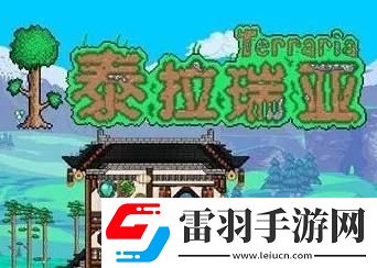 泰拉瑞亞紅寶石怎么搞