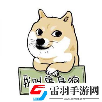 雙十一單身節(jié)到了請(qǐng)關(guān)愛(ài)身邊的單身狗