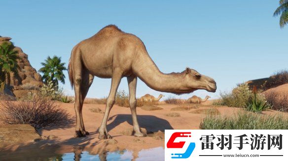 動(dòng)物園之星新DLC“干旱動(dòng)物”發(fā)售本體史低促銷中