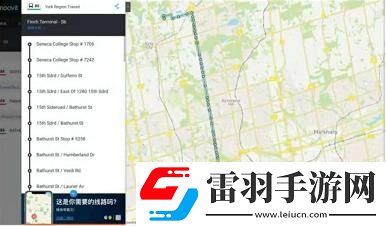 犯罪大師離奇失蹤案下兇手是誰(shuí)