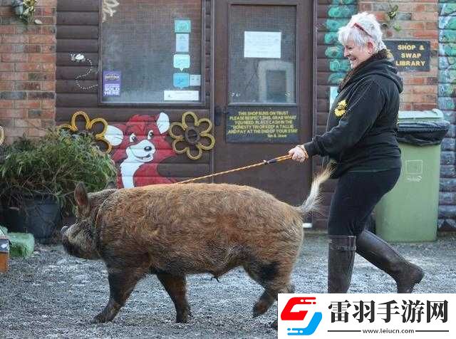 美國