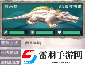 創(chuàng)造與魔法阿米特飼料是什么