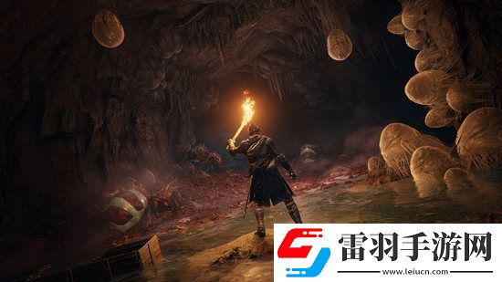 艾爾登法環(huán)地圖打開攻略