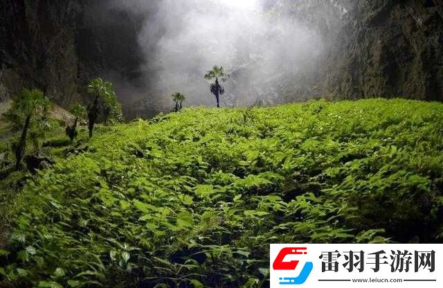 仙蹤林