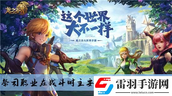 祭司職業(yè)在戰(zhàn)斗時(shí)主要的功能是