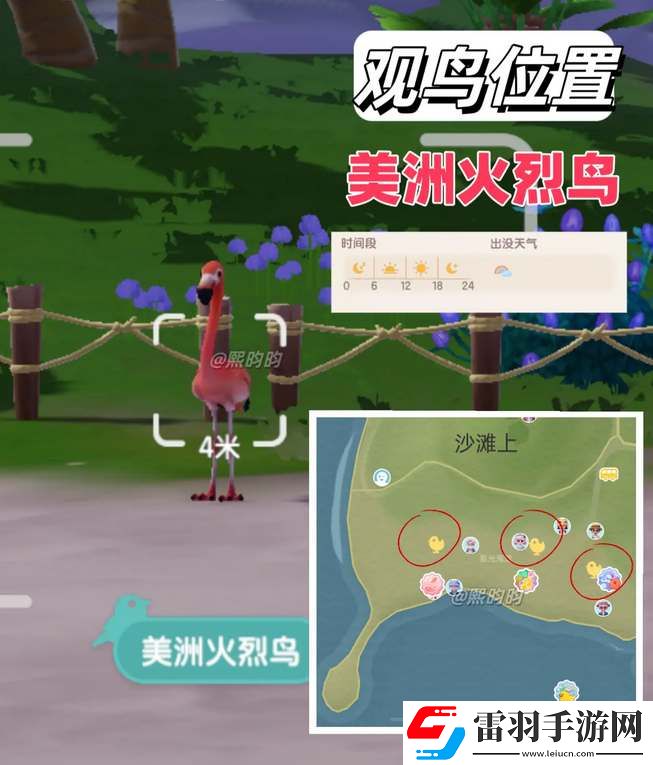 心動小鎮(zhèn)觀鳥9級具體位置攻略