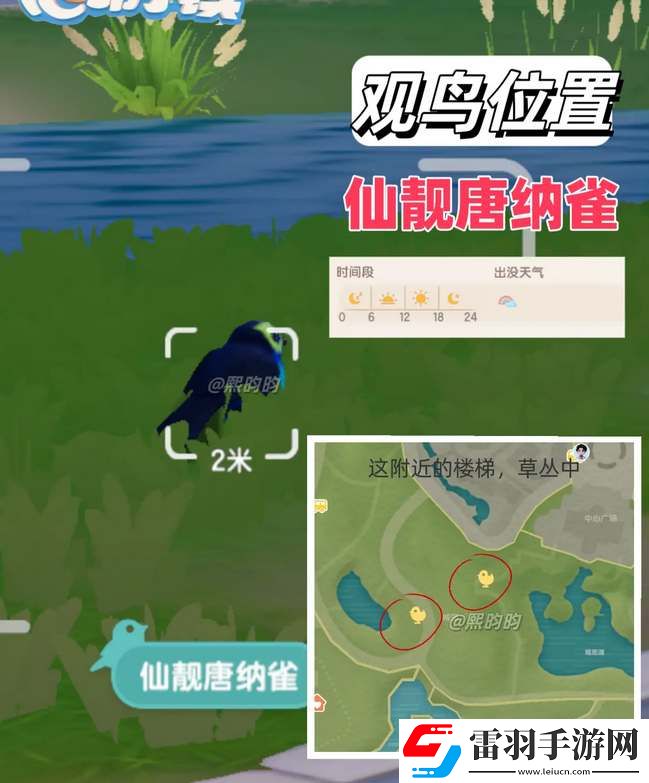 心動小鎮(zhèn)觀鳥9級具體位置攻略