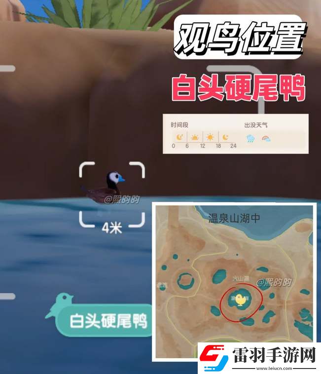 心動小鎮(zhèn)觀鳥9級具體位置攻略