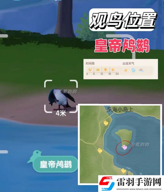 心動小鎮(zhèn)觀鳥9級具體位置攻略
