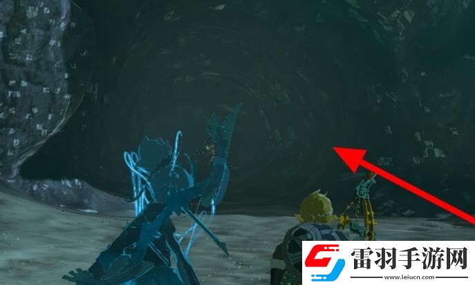 塞爾達(dá)傳說(shuō)王國(guó)之淚阿聶達(dá)米米卡神廟攻略