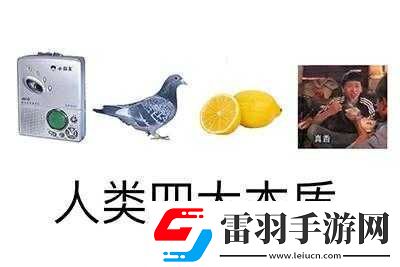 人類大本質(zhì)是什么