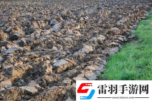 兒子耕了母親荒廢的田