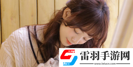 中國(guó)高清windows視頻軟件