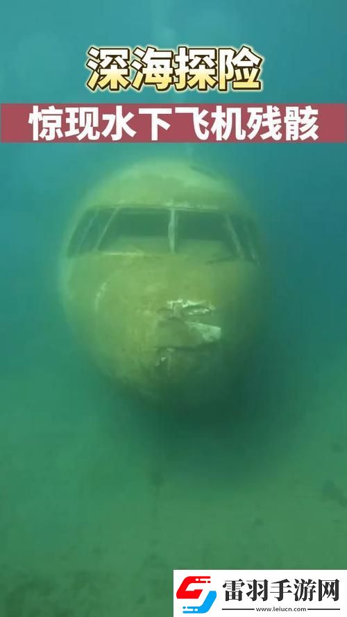 “深海飛機(jī)殘骸之謎