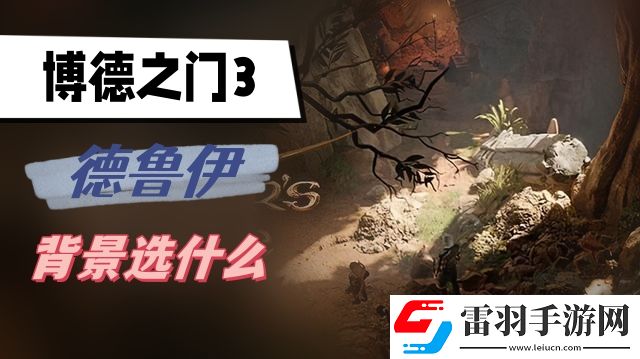 博德之門3德魯伊背景選什么