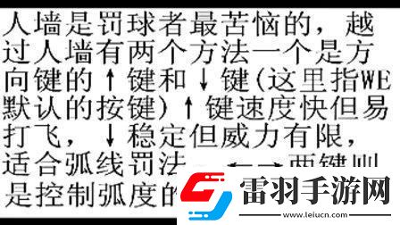 “實況足球8”